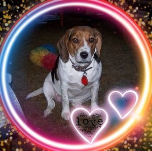 Meet your Posher, Debra